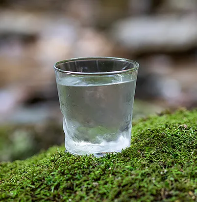 森の中の天然水イメージ写真